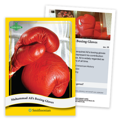 Curiosity Cards: Smithsonian Curations - First Edition!