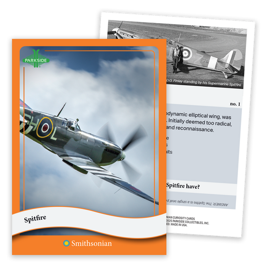 Curiosity Cards: Allies of WW2 - First Edition!