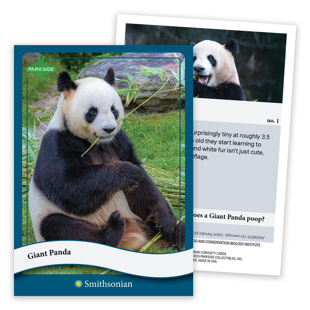 Curiosity Cards: Animal Kingdom - First Edition!