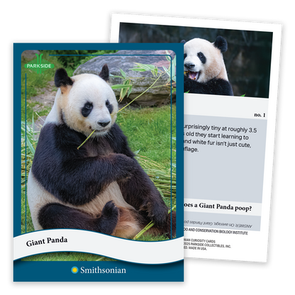 Curiosity Cards: Animal Kingdom - First Edition!