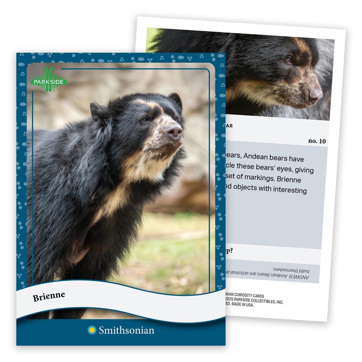 Curiosity Cards: Animal Kingdom - First Edition!