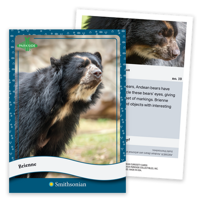 Curiosity Cards: Animal Kingdom - First Edition!