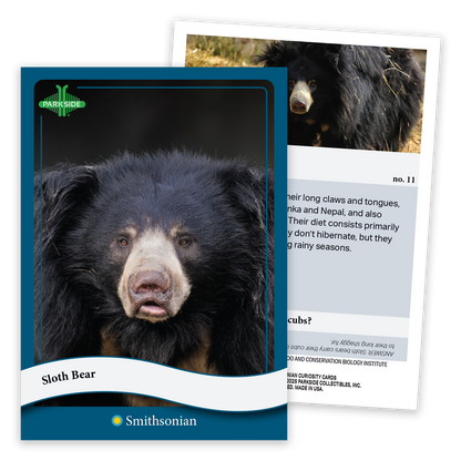 Curiosity Cards: Animal Kingdom - First Edition!